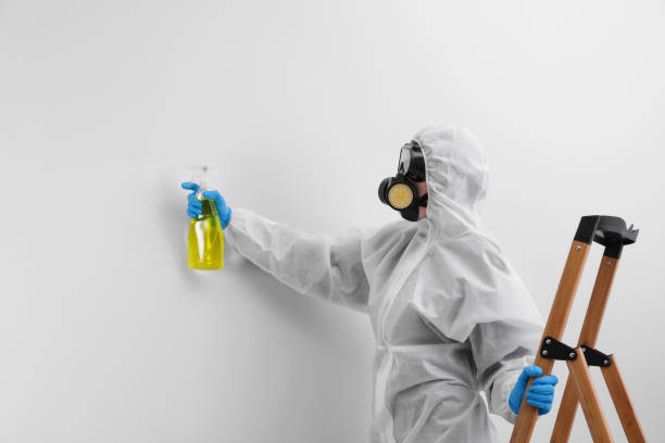 Best Mold Remediation for Healthcare Facilities in Hamilton College, NY